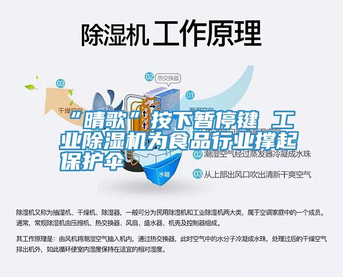 “晴歌”按下暫停鍵 工業蘑菇视频网站為食品行業撐起保護傘