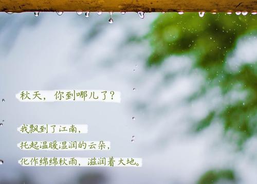 “無晴”陰雨天 “有晴”蘑菇视频网站