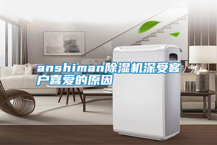 anshiman蘑菇视频网站深受客戶喜愛的原因