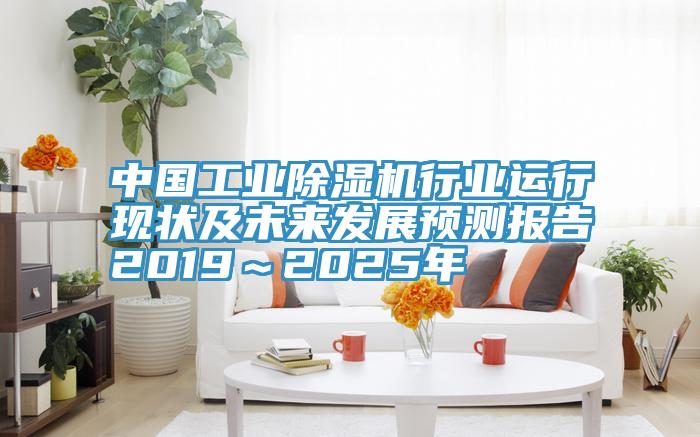 中國工業蘑菇视频网站行業運行現狀及未來發展預測報告2019～2025年