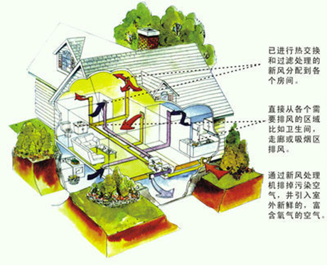 工業蘑菇视频网站廠家
