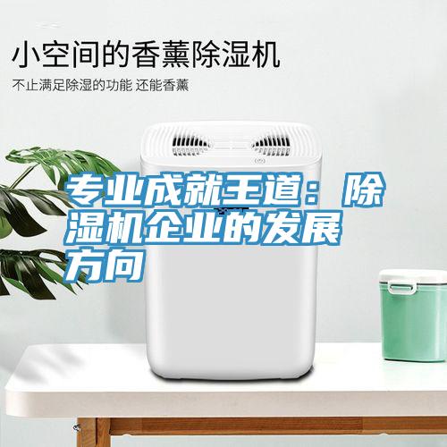 專業成就王道：蘑菇视频网站企業的發展方向