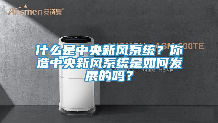 什麽是中央新風係統？你造中央新風係統是如何發展的嗎？