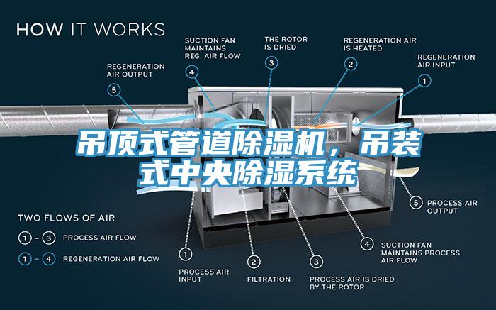 吊頂式管道蘑菇视频网站，吊裝式中央除濕係統