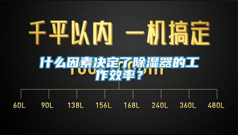 什麽因素決定了除濕器的工作效率？