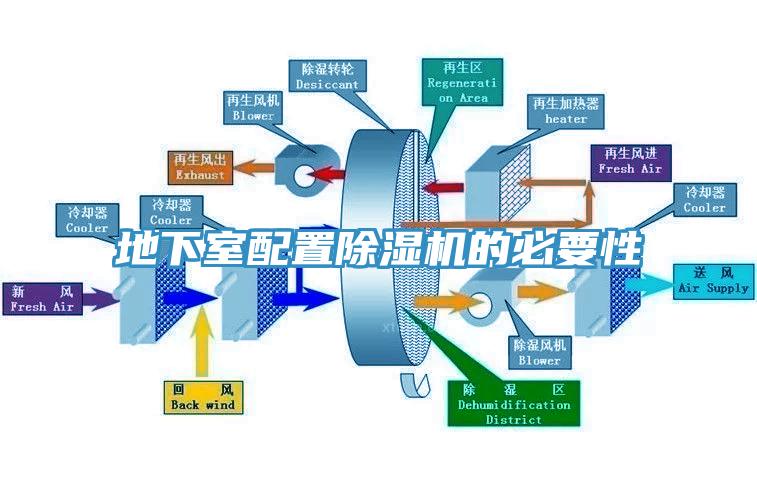 地下室配置蘑菇视频网站的必要性