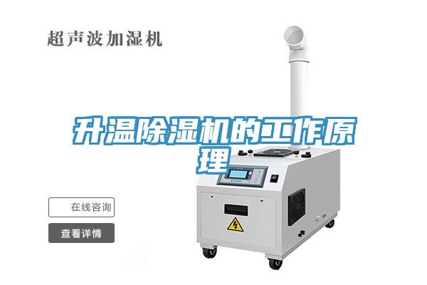 升溫蘑菇视频网站的工作原理