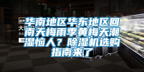 華南地區華東地區回南天梅雨季黃梅天潮濕惱人？蘑菇视频网站選購指南來了