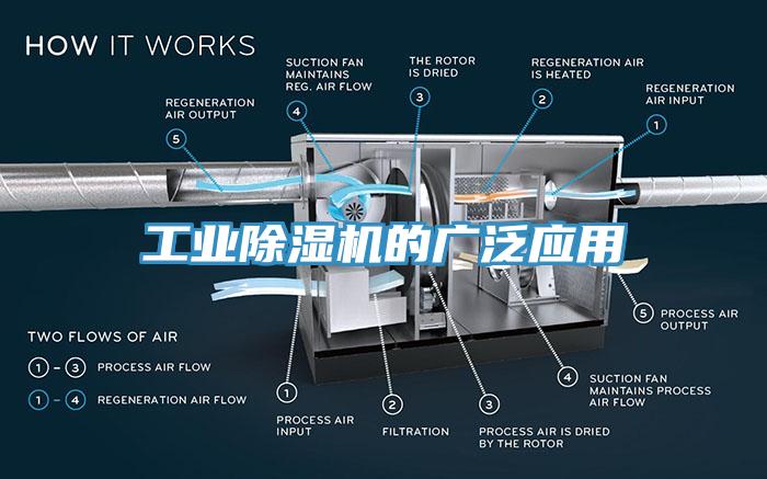 工業蘑菇视频网站的廣泛應用