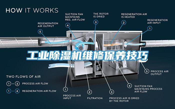 工業蘑菇视频网站維修保養技巧