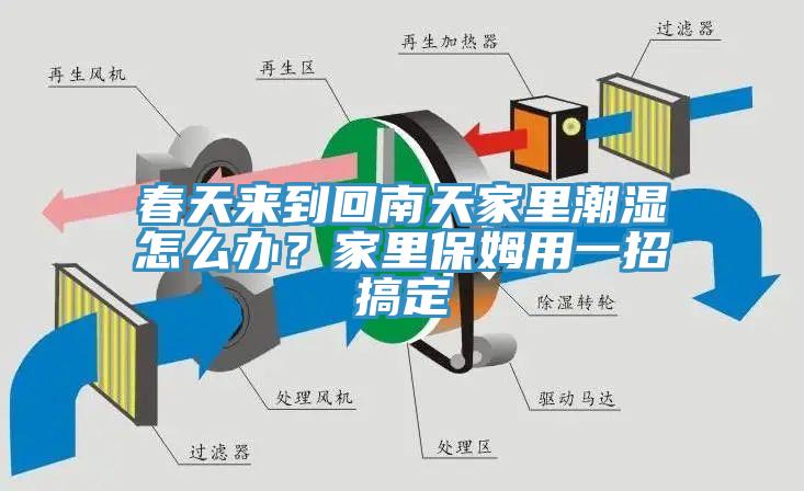 春天來到回南天家裏潮濕怎麽辦？家裏保姆用一招搞定