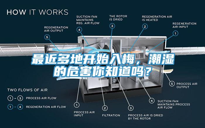 最近多地開始入梅，潮濕的危害你知道嗎？