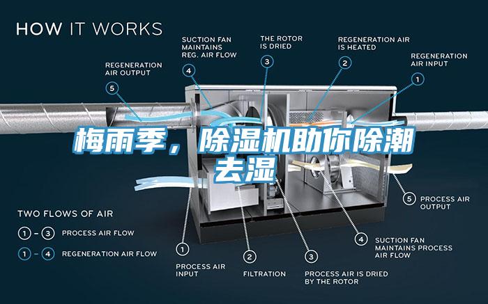 梅雨季，蘑菇视频网站助你除潮去濕