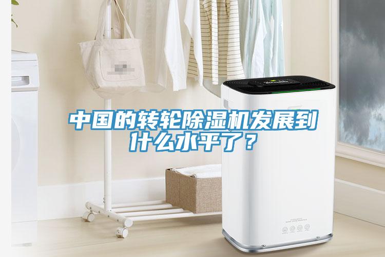 中國的轉輪蘑菇视频网站發展到什麽水平了？