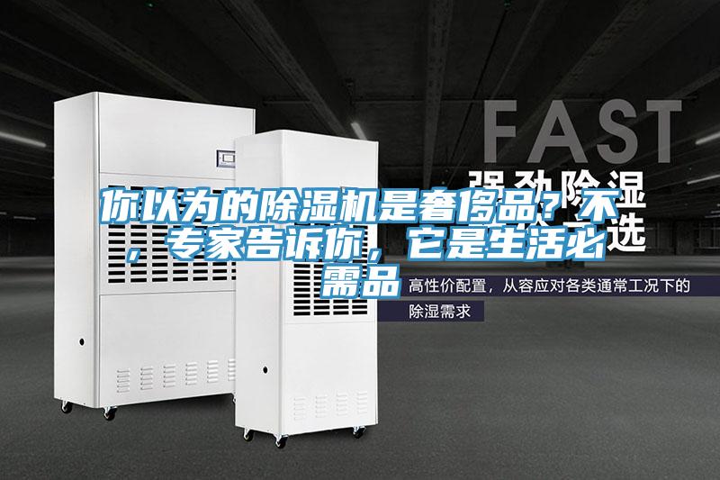 你以為的蘑菇视频网站是奢侈品？不，專家告訴你，它是生活必需品