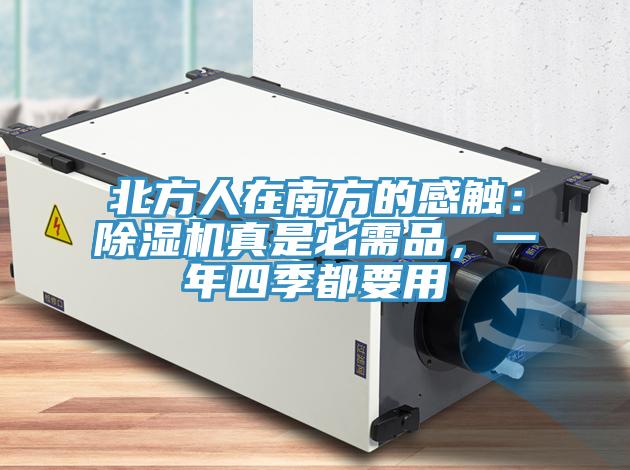 北方人在南方的感觸：蘑菇视频网站真是必需品，一年四季都要用