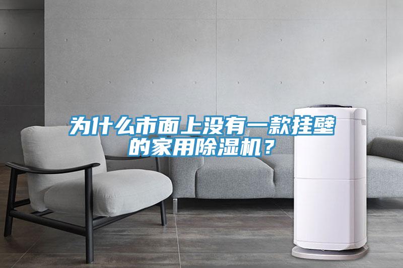 為什麽市麵上沒有一款掛壁的家用蘑菇视频网站？