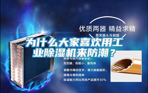 為什麽大家喜歡用工業蘑菇视频网站來防潮？