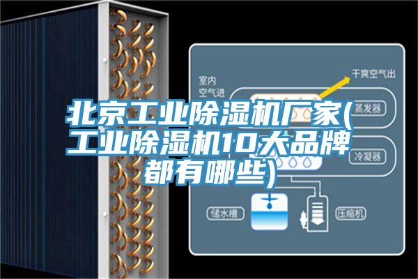 北京工業蘑菇视频网站廠家(工業蘑菇视频网站10大品牌都有哪些)
