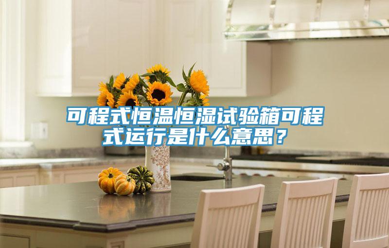 可程式恒溫恒濕試驗箱可程式運行是什麽意思？