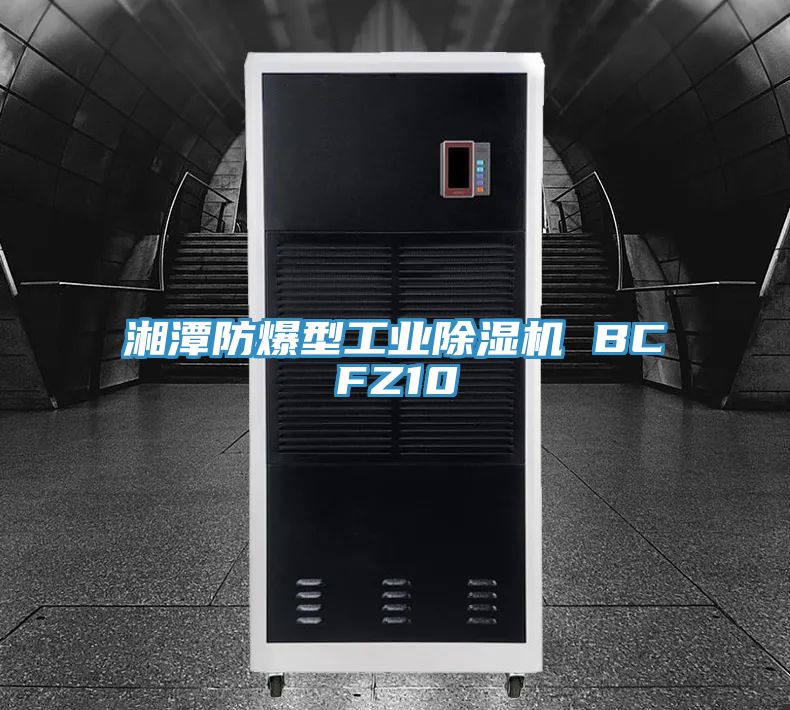 湘潭防爆型工業蘑菇视频网站 BCFZ10