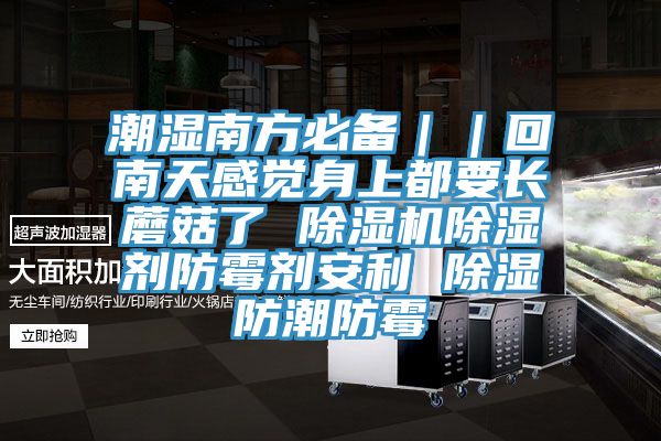 潮濕南方必備｜｜回南天感覺身上都要長蘑菇了 蘑菇视频网站除濕劑防黴劑安利 除濕防潮防黴