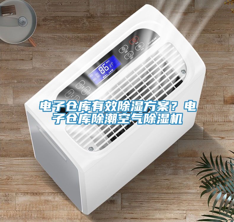 電子倉庫有效除濕方案？電子倉庫除潮空氣蘑菇视频网站