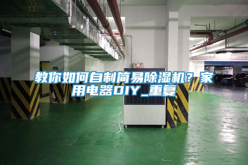 教你如何自製簡易蘑菇视频网站？家用電器DIY_重複