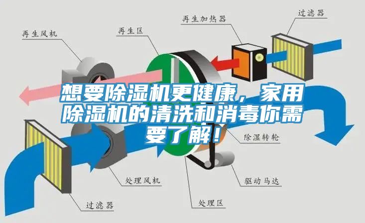 想要蘑菇视频网站更健康，家用蘑菇视频网站的清洗和消毒你需要了解！