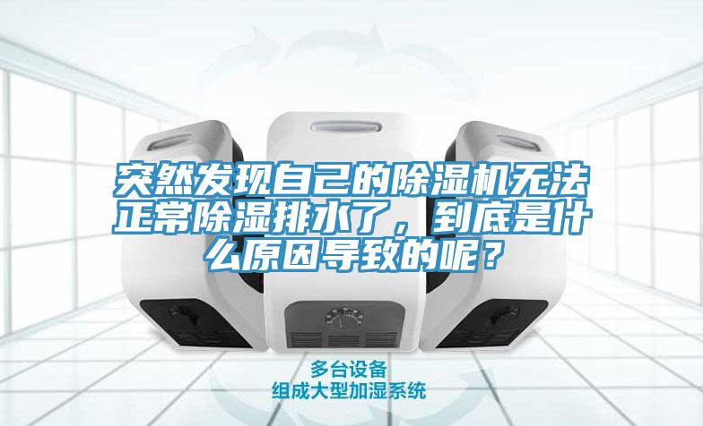 突然發現自己的蘑菇视频网站無法正常除濕排水了，到底是什麽原因導致的呢？