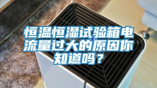 恒溫恒濕試驗箱電流量過大的原因你知道嗎？