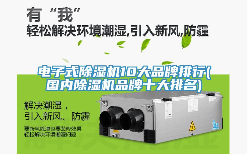 電子式蘑菇视频网站10大品牌排行(國內蘑菇视频网站品牌十大排名)