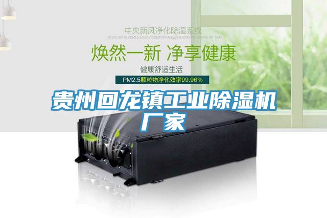 貴州回龍鎮工業蘑菇视频网站廠家