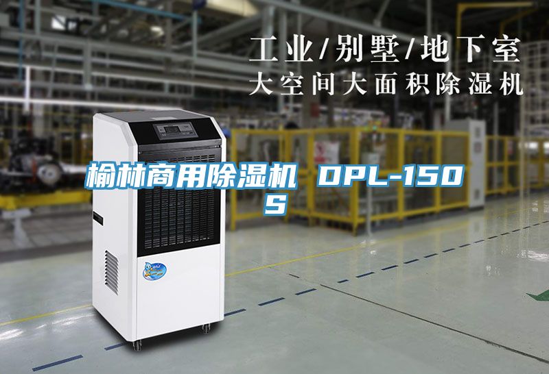 榆林商用蘑菇视频网站 DPL-150S