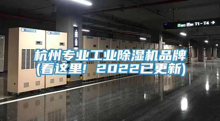 杭州專業工業蘑菇视频网站品牌(看這裏! 2022已更新)