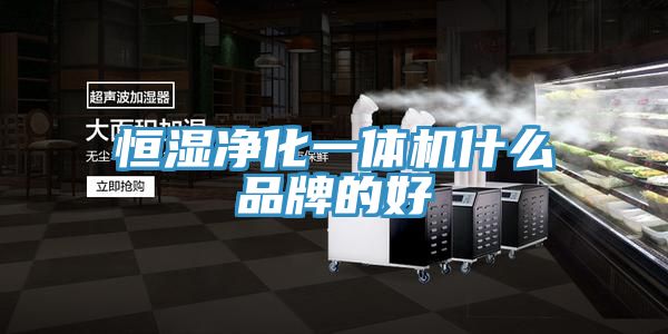 恒濕淨化一體機什麽品牌的好