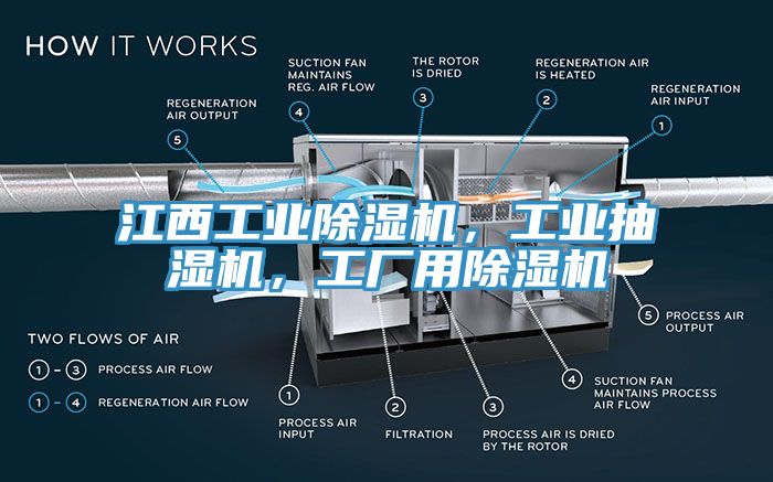 江西工業蘑菇视频网站，工業抽濕機，工廠用蘑菇视频网站