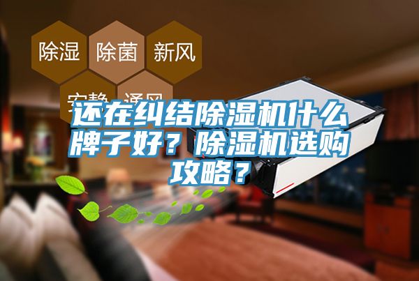 還在糾結蘑菇视频网站什麽牌子好？蘑菇视频网站選購攻略？