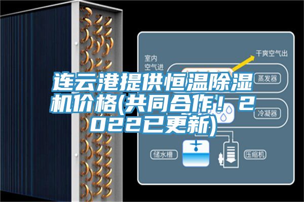 連雲港提供恒溫蘑菇视频网站價格(共同合作！2022已更新)