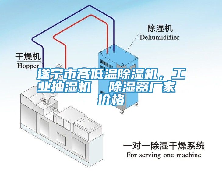 遂寧市高低溫蘑菇视频网站，工業抽濕機  除濕器廠家 價格