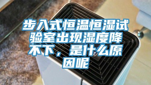 步入式恒溫恒濕試驗室出現濕度降不下，是什麽原因呢