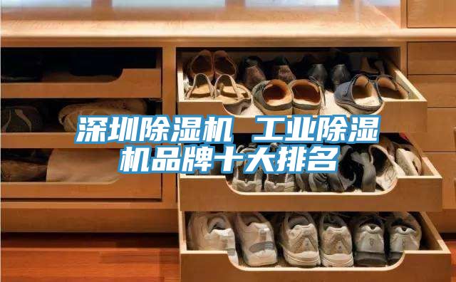 深圳蘑菇视频网站 工業蘑菇视频网站品牌十大排名