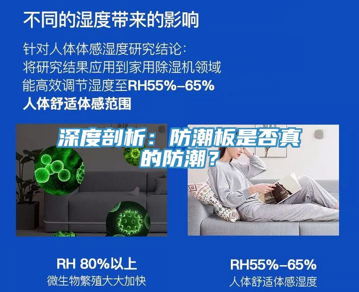 深度剖析：防潮板是否真的防潮？