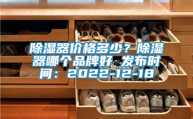 除濕器價格多少？除濕器哪個品牌好 發布時間：2022-12-18