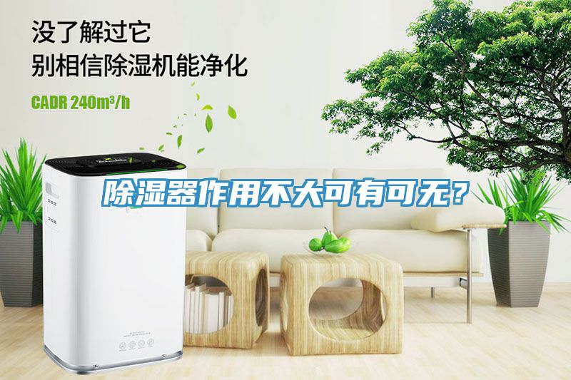 除濕器作用不大可有可無？