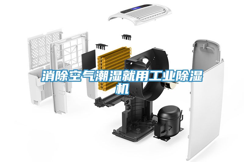 消除空氣潮濕就用工業蘑菇视频网站