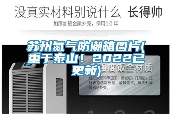 蘇州氮氣防潮箱圖片(重於泰山！2022已更新)