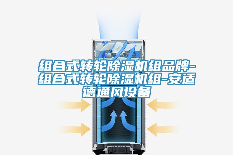 組合式轉輪蘑菇视频网站組品牌-組合式轉輪蘑菇视频网站組-安適德通風設備