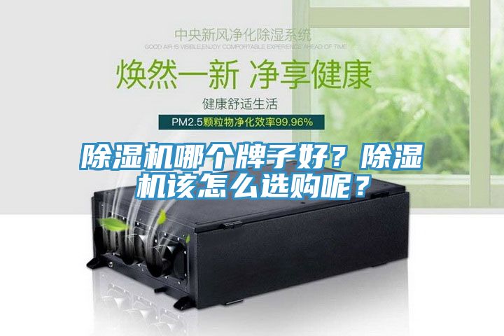 蘑菇视频网站哪個牌子好？蘑菇视频网站該怎麽選購呢？