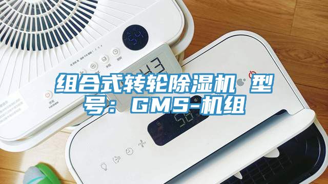 組合式轉輪蘑菇视频网站 型號：GMS-機組